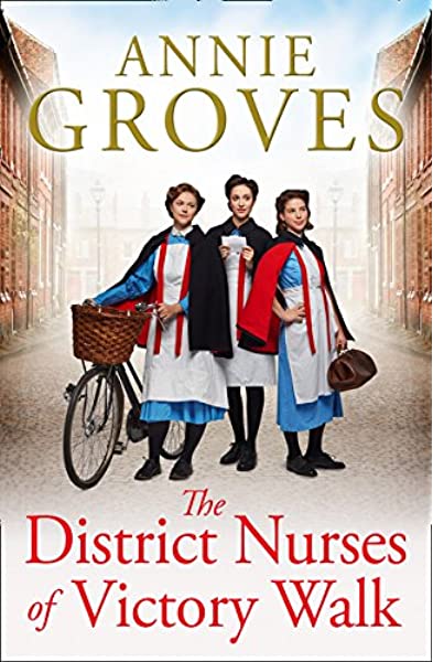 The District Nurses Of Victory Walk Book Cover
