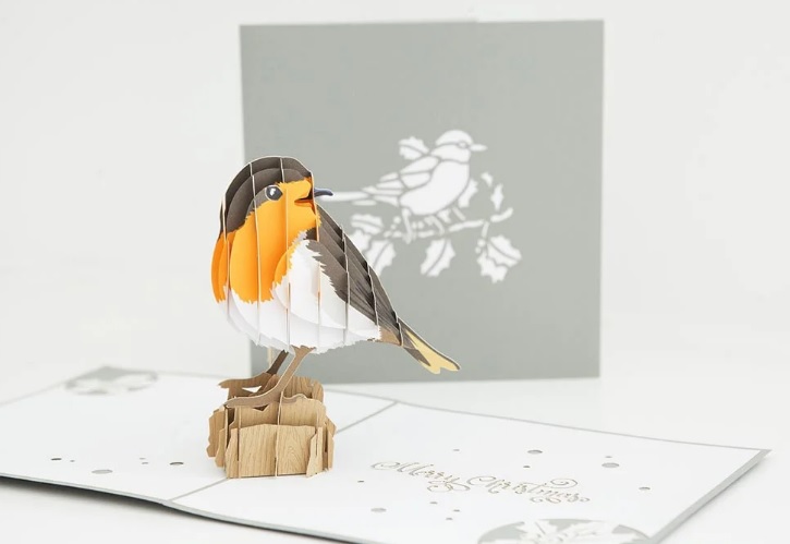 Unique Handmade Robin pop-up Christmas Card